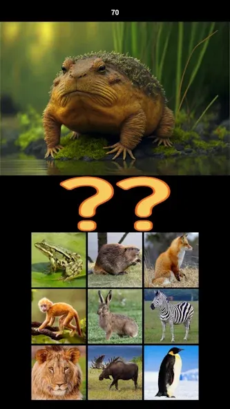 Hybrid Animals Crazy Lab Quiz (Хибридные животные Сумасшедшая лаборатория Викторина) [MOD: Premium/Unlocked] - Скриншот 4