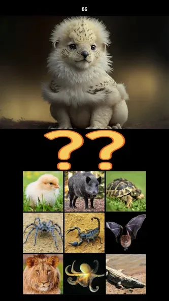 Hybrid Animals Crazy Lab Quiz (Хибридные животные Сумасшедшая лаборатория Викторина) [MOD: Premium/Unlocked] - Скриншот 5