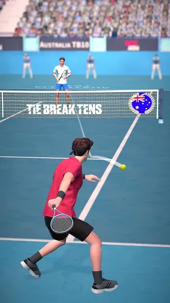 Tennis Arena (Теннисная арена) [MOD: Меню/Много денег] - Скриншот 1
