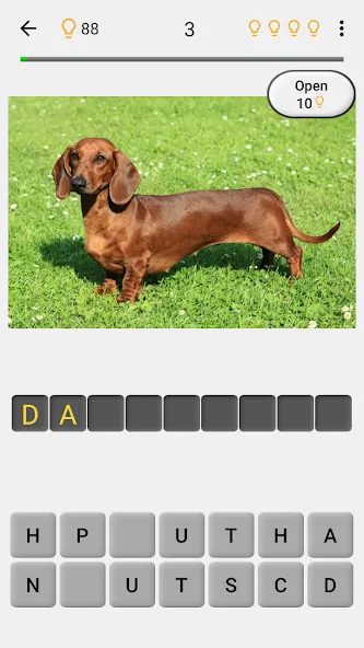 Dogs Quiz — Guess All Breeds! [MOD: Все открыто] - Скриншот 2