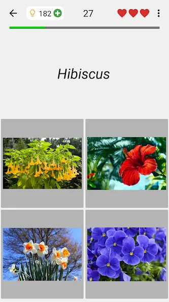 Flowers Quiz — Identify Plants [MOD: Разблокировано] - Скриншот 4
