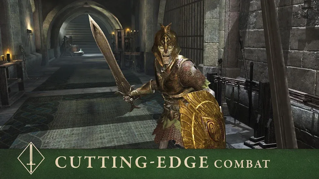 The Elder Scrolls: Blades (Зе Элдер Скроллс) [MOD: Premium/Unlocked] - Скриншот 5