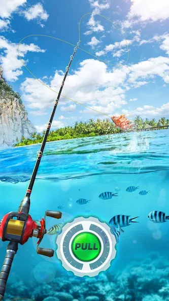 Fishing Rival 3D (Фишинг Ривал 3Д) [MOD: Все разблокировано] - Скриншот 1