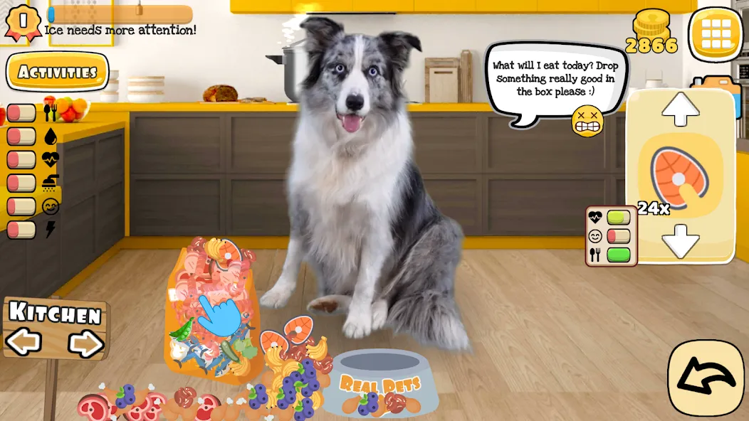 Adopt a pet : Corgi Games (Риал Петс бай Фруви) [MOD: Разблокировано] - Скриншот 1