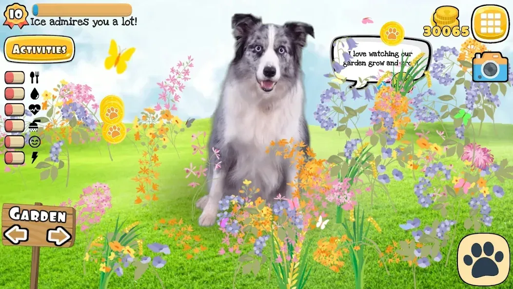 Adopt a pet : Corgi Games (Риал Петс бай Фруви) [MOD: Разблокировано] - Скриншот 4