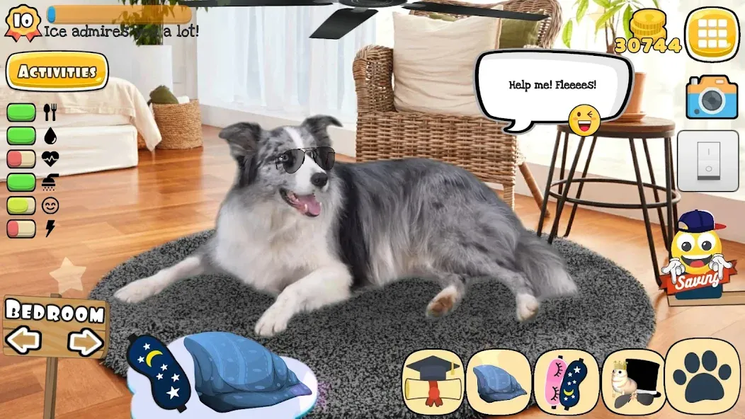 Adopt a pet : Corgi Games (Риал Петс бай Фруви) [MOD: Разблокировано] - Скриншот 5