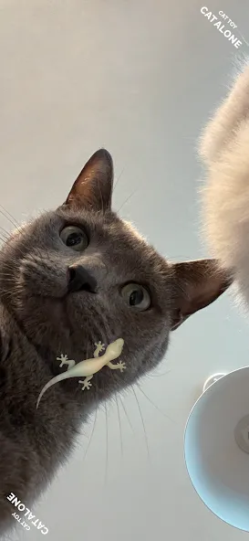 CAT ALONE — Cat Toy (САТ ЭЛОУН) [MOD: Разблокировано] - Скриншот 1
