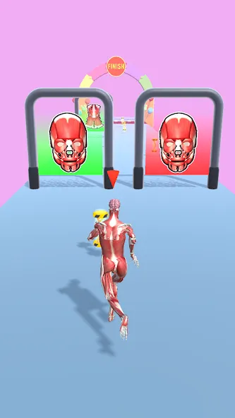 Human Evolution Run [MOD: Мод Меню/Взлом] - Скриншот 5