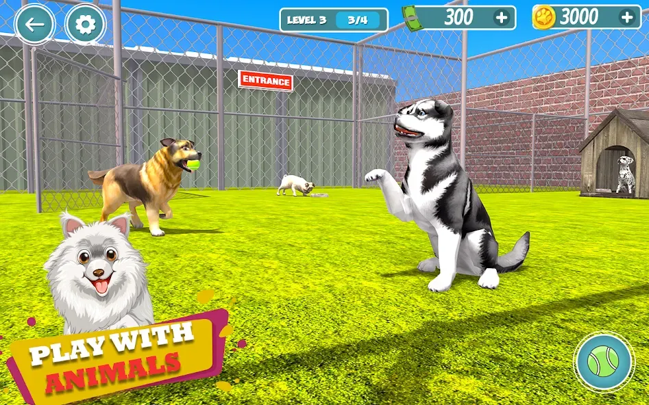 My Pet Animal Shelter World [MOD: Меню/Много денег] - Скриншот 5