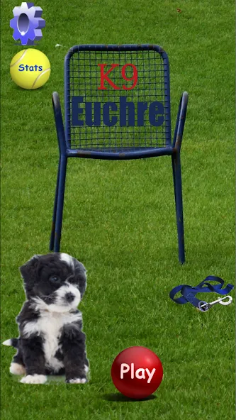 K9 Euchre (К9 Юкер) [MOD: Mega Mod/Меню] - Скриншот 1