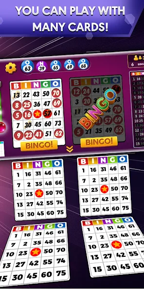 Bingo — Offline Bingo Game [MOD: Все разблокировано] - Скриншот 1