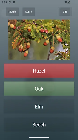 General Knowledge Quiz [MOD: Mega Mod/Меню] - Скриншот 2