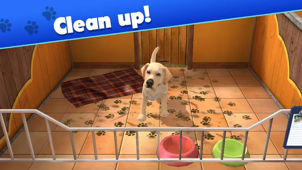 Pet World — My Animal Shelter (Пет Ворлд) [MOD: Меню/Много денег] - Скриншот 1