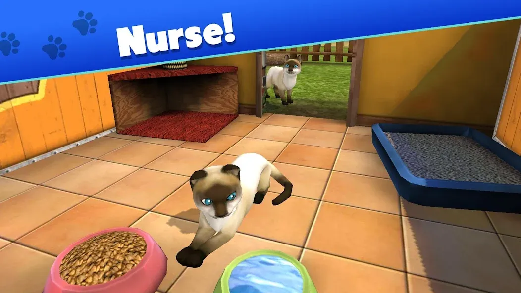 Pet World — My Animal Shelter (Пет Ворлд) [MOD: Меню/Много денег] - Скриншот 3