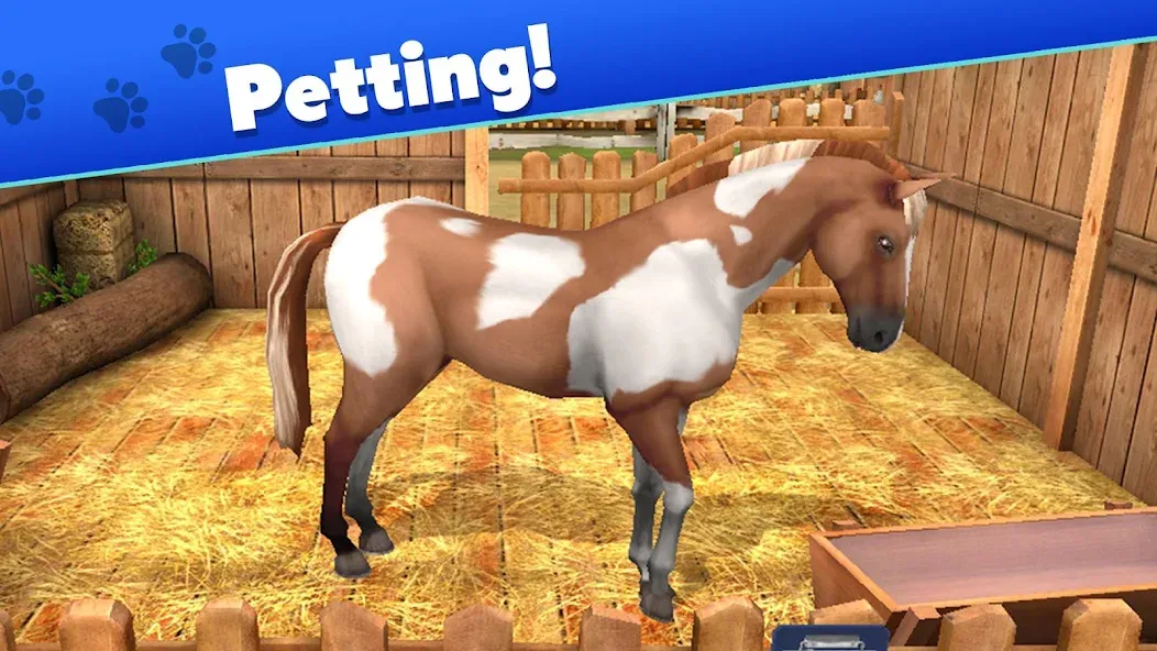 Pet World — My Animal Shelter (Пет Ворлд) [MOD: Меню/Много денег] - Скриншот 5
