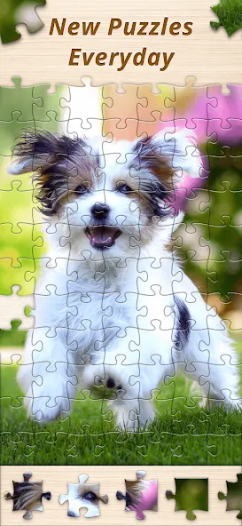 Jigsaw Premium Puzzles HD (Джигсоу) [MOD: Разблокировано] - Скриншот 5